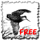 APK Giornale di caccia Free