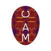 CAM APK