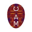 CAM icon