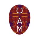 CAM APK