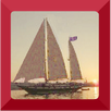 Piloto de barco APK