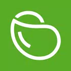 iPacemaker AI Follow-up ไอคอน