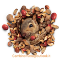 GAMBINOFRUTTA
