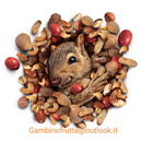 GAMBINOFRUTTA APK