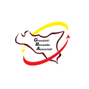 GBAPP APK
