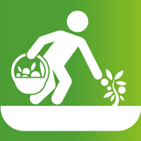 FairLabor ícone