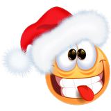 Frasi di Natale divertenti-icoon