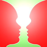 Illusions of the brain