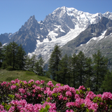 Relax Montagne: sons dormir icône