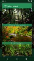 आराम से जंगल: नींद की आवाज़ पोस्टर