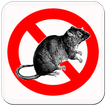 Pro Anti Rat