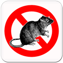 APK Anti Rat Pro