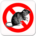 Anti Ratte Pro Zeichen