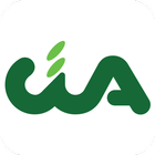 CIA Imola 아이콘