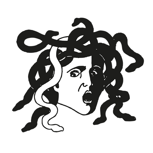 Medusa Editrice e-Reader