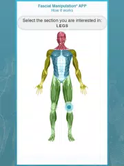 FM App XAPK download