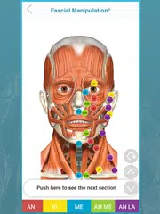 FM App XAPK download