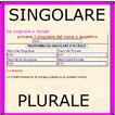 Singolare e plurale ไอคอน