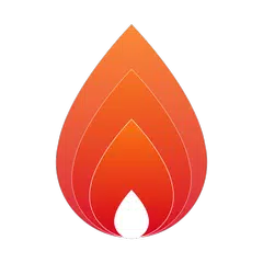 SmartStoves Palazzetti