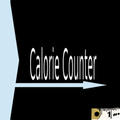 Calorie Counter