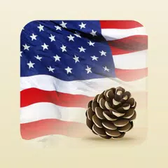 Скачать USA Press News APK