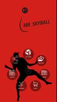 Mr Skyball poster