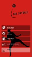 Mr Skyball screenshot 1