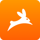 Rabbit icon