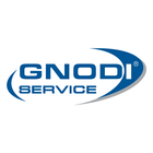 GNODI SERVICE icône