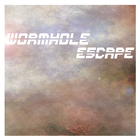 Wormhole Escape आइकन