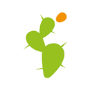 APK Fusion Pizzeria Ristorante