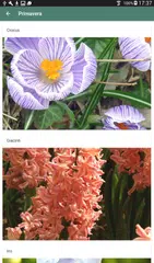 Parco Giardino Sigurtà APK 下載