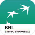 BNP APN Installer icono