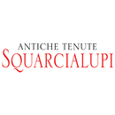 Squarcialupi APK