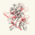 Blooming yoAR way