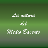 La natura del Medio Basento
