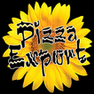 Pizza Export Decima 图标