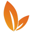 PU Corporate
