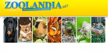 Zoolandia.net - Pet Shop