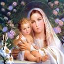 The Blessed Virgin Mary APK