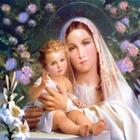 The Blessed Virgin Mary آئیکن