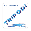 GAP - Passeggeri Autolinee Tripodi
