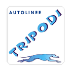 GAP - Passeggeri Autolinee Tripodi icône