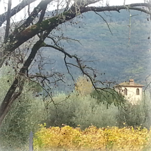 Info Caccia