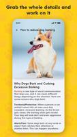 Dog training, Dog Tricks Poster