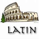 Latin Items Exetat APK
