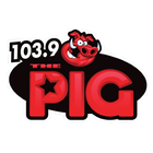 ikon My Pig Radio