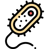 Microbiology Solved MCQs