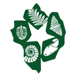 Ha Noi Fossil Museum