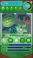 Marimo Clicker 스크린샷 2